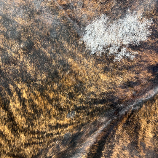 Brindle Cowhide Rug (41.35 sq ft) Size: 7.5x7 feet Colombia-33A