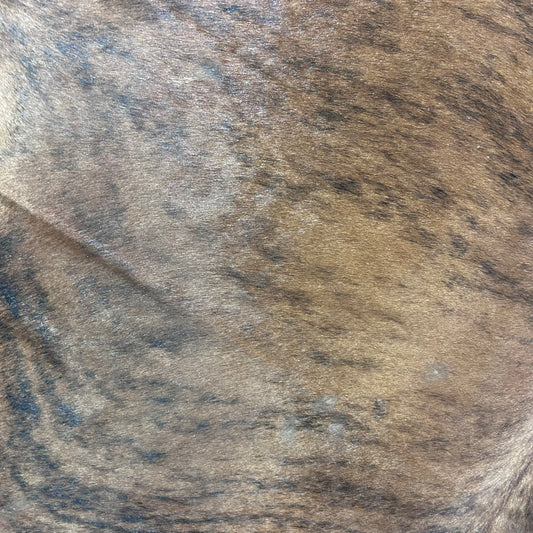 Brindle Cowhide Rug (39.25 sq ft) Size: 6.5x6.5 feet Colombia-27