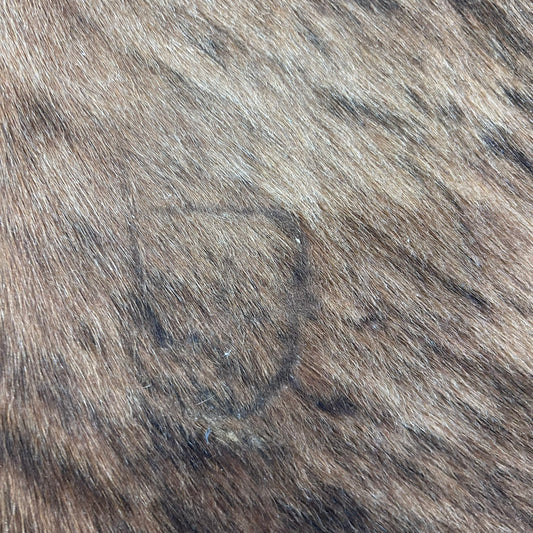 Brindle Cowhide Rug (35.75 sq ft) Size: 7x6 feet Colombia-31A