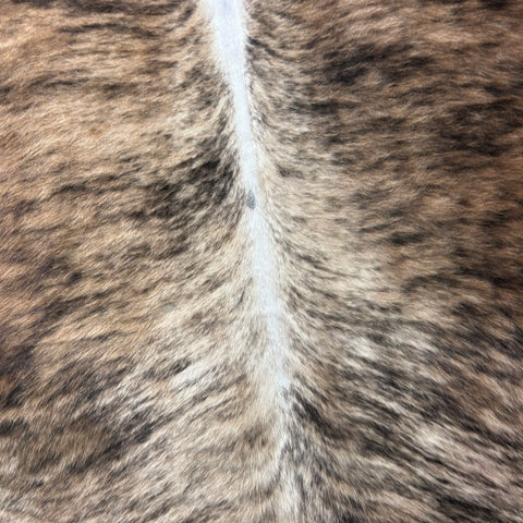 Brindle Cowhide Rug (32.75 sq ft) Size: 6.7x6 feet Colombia-28A