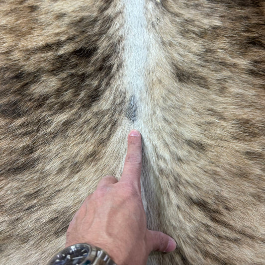 Brindle Cowhide Rug (32.75 sq ft) Size: 6.7x6 feet Colombia-28A