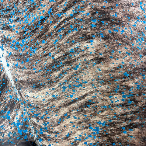 Brindle Cowhide Rug with Turquoise Acid Washed Size: 7x7 feet Y-158