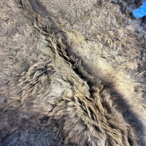 Bison Skin Rug (nice fur!) Size: 8x7 feet Bison # 21