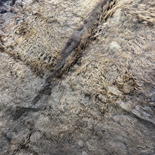 Bison Skin Rug (nice fur!) Size: 8x7 feet Bison # 21