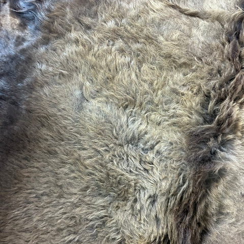 Bison Skin Rug (super nice fur!) Size: 8x6.2 feet Bison # 22