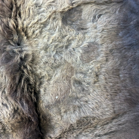 Bison Skin Rug (super nice fur!) Size: 8x6.2 feet Bison # 22