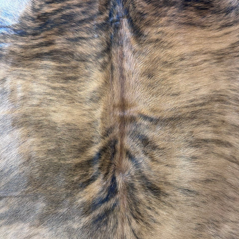 Medium Brindle Cowhide Rug (31 sq ft) Size: 6.5x5.5 feet Colombia-229
