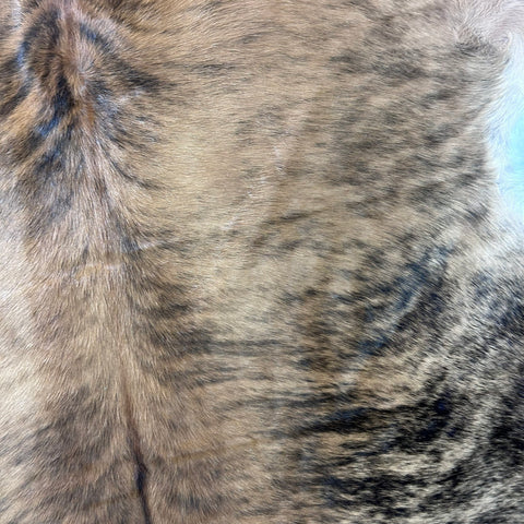 Medium Brindle Cowhide Rug (31 sq ft) Size: 6.5x5.5 feet Colombia-229