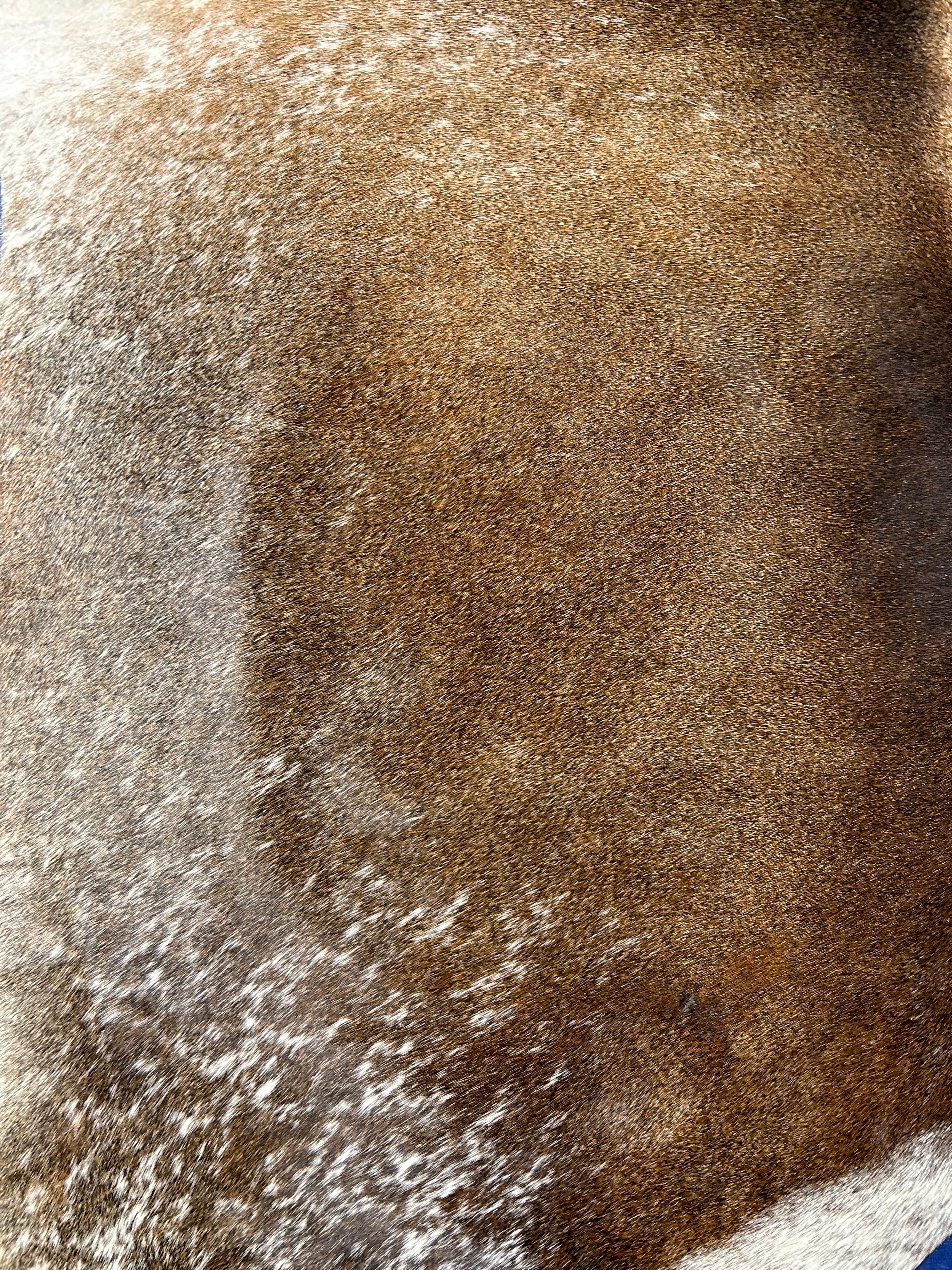 Gorgeous Speckled Reddish Cowhide Rug (hard to see stitches) Size: 6x6 feet M-1690