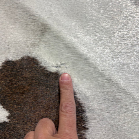 Reddish Cowhide Rug Size: 7x6 feet Z-340