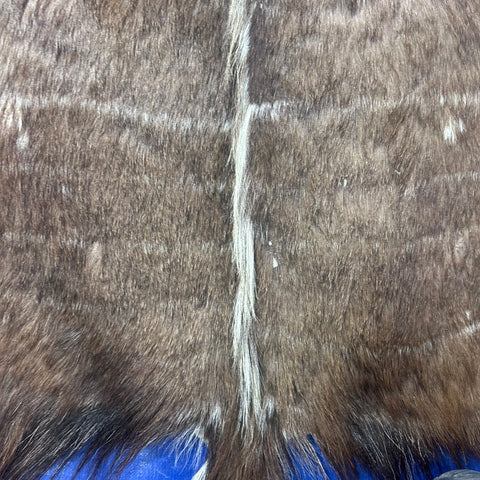 Tanned Nyala Antelope Hide – African Leather Rug (45x38") F-001