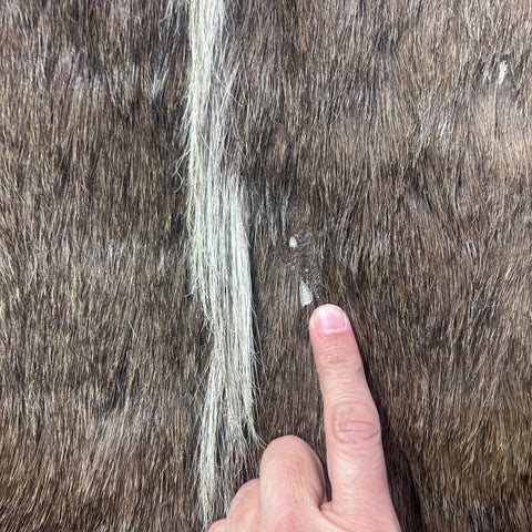 Tanned Nyala Antelope Hide – African Leather Rug (45x38") F-001