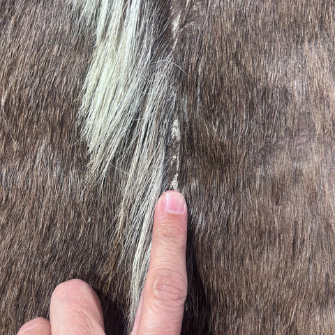 Tanned Nyala Antelope Hide – African Leather Rug (45x38") F-001