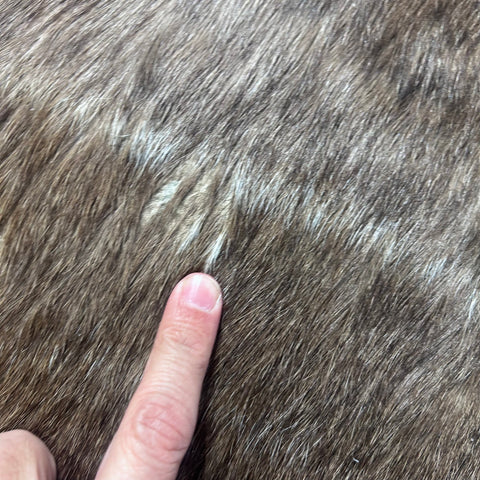 Tanned Nyala Antelope Hide – African Leather Rug (45x38") F-001