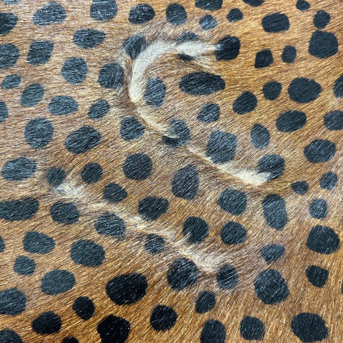 Cheetah Print Cowhide Rug Size: 7.5x6 feet Z-342