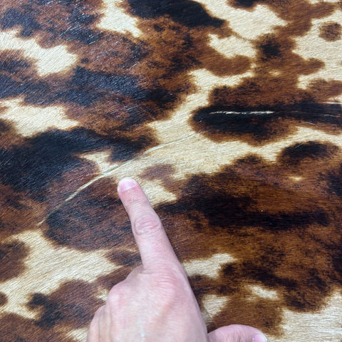 Tricolor Appaloosa Printed Cowhide Rug Size: 7.2x6 feet Z-163