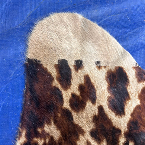 Tricolor Appaloosa Printed Cowhide Rug Size: 7.2x6 feet Z-163