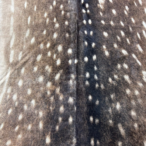 Axis Deer Skin Cowhide Rug Size: 7x6 feet Z-164