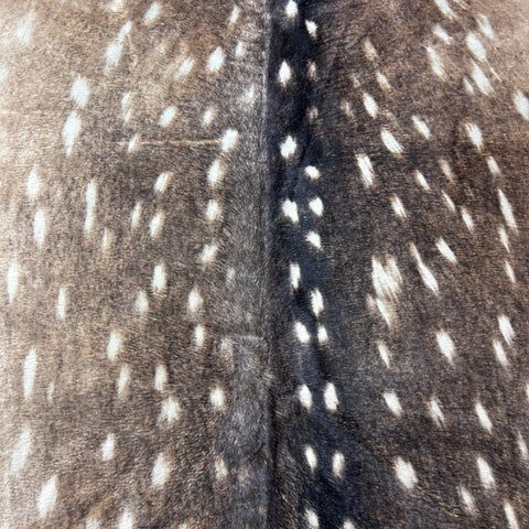 Axis Deer Skin Cowhide Rug Size: 7x6 feet Z-164