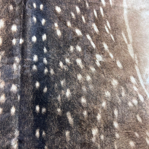 Axis Deer Skin Cowhide Rug Size: 7x6 feet Z-164