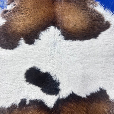 Tricolor Spotted Calf Skin Size: 42x36" Z-168