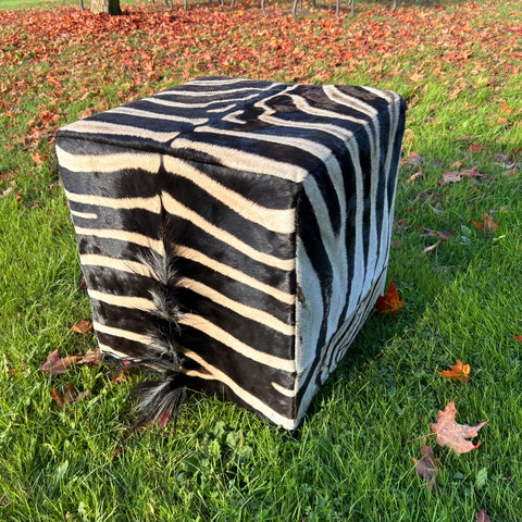 Real Zebra Ottoman Cube 20 H X 20 X 20" Zebra Skin Hair-on Ottoman # 2