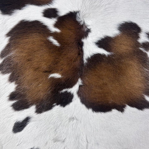 Tricolor Spotted Calf Skin Size: 38x34" Z-170