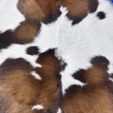 Tricolor Spotted Calf Skin Size: 38x34" Z-170