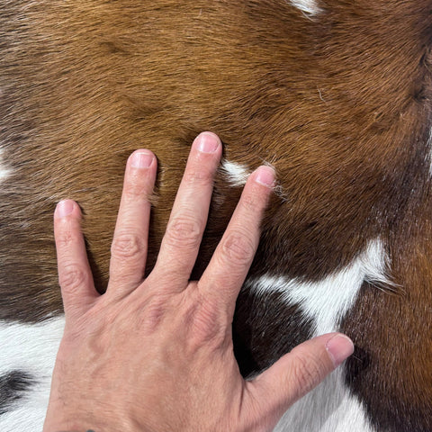 Tricolor Spotted Calf Skin Size: 38x34" Z-170