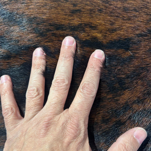 Exotic Brindle Calf Skin Size: 37x33" Z-171