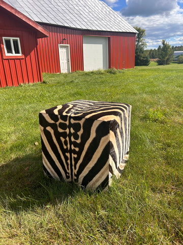 Real Zebra Ottoman Cube 20 H X 20 X 20" Zebra Skin Hair-on Ottoman # F