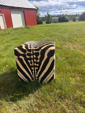 Real Zebra Ottoman Cube 20 H X 20 X 20" Zebra Skin Hair-on Ottoman # F