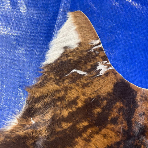 Exotic Brindle Calf Skin Size: 37x33" Z-172