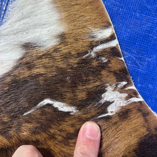 Exotic Brindle Calf Skin Size: 37x33" Z-172