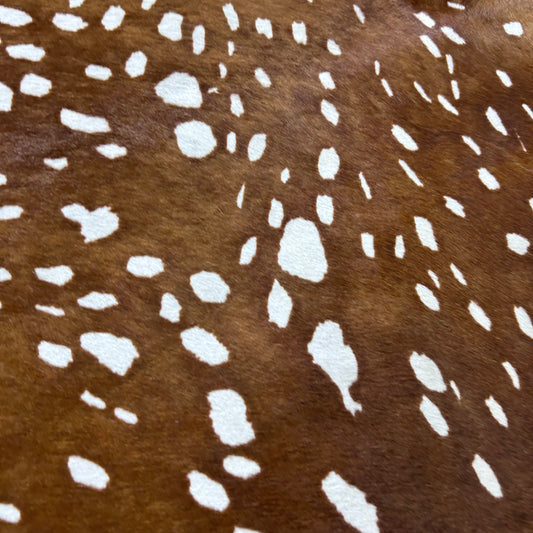 Medium Axis Deer Cowhide Rug Size: 7.2x5.7 feet Y-013