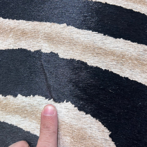 Genuine Zebra Cowhide Rug (lighter inner stripes) Size: 7x6 feet Z-173