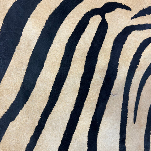 Genuine Zebra Print (beige background/ some scars) Size: 7.7x6.2 feet Z-348