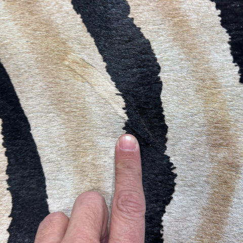 Genuine Zebra Cowhide Rug (lighter inner stripes) Size: 7x6 feet Z-174
