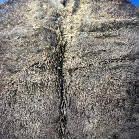 Bison Skin Rug (awesome fur!) Size: 7x7 feet #24