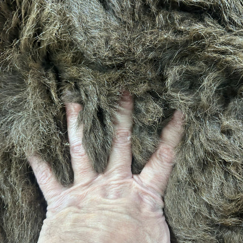 Bison Skin Rug (awesome fur!) Size: 7x7 feet #24