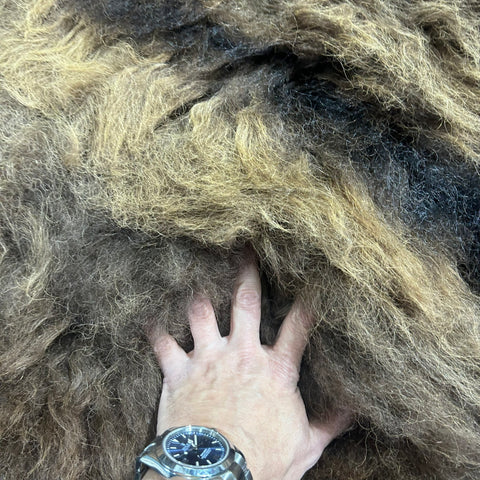 Bison Skin Rug (awesome fur!) Size: 7x7 feet #24