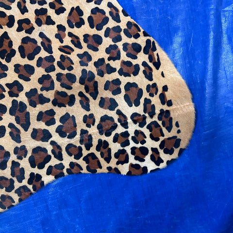 Leopard Print Cowhide Rug Size: 7x6 feet Z-178