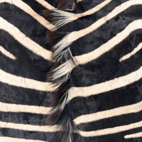 Real Zebra Skin Rug Hide # 22 HUGE (B Grade) Huge Size: 9X7 feet - 2 FREE PILLOW CASES