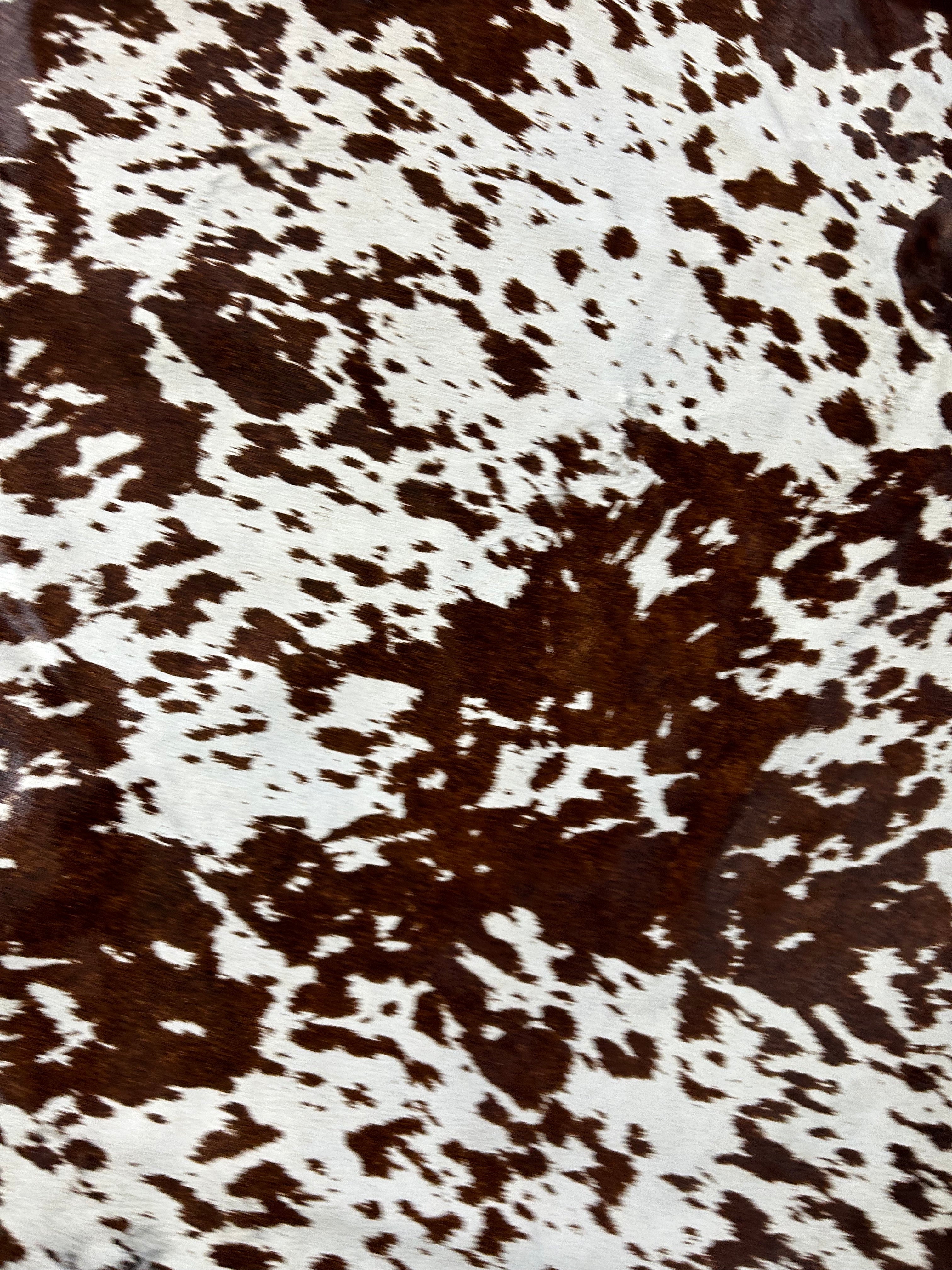 Brown & White Printed Cowhide Rug Size: 7.2x7 feet D-042