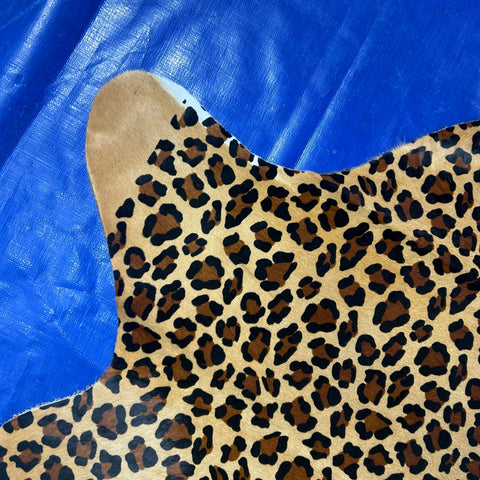 Leopard Print Cowhide Rug Size: 7x6 feet Z-180