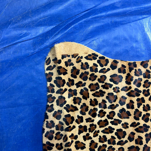 Leopard Print Cowhide Rug Size: 7x6 feet Z-180