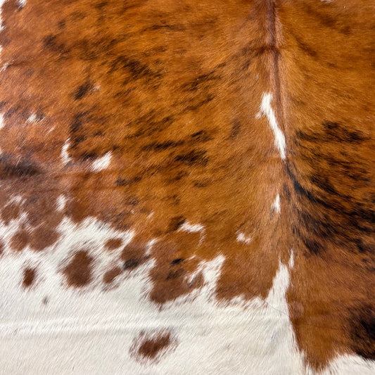 Tricolor Cowhide Rug D-575