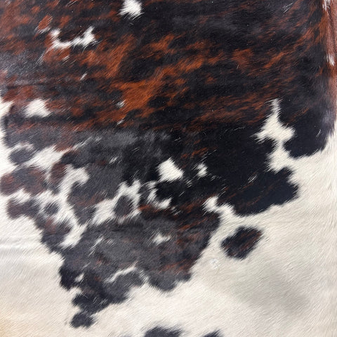 Tricolor Cowhide Rug Size: 7x7 feet D-576