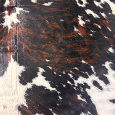 Tricolor Cowhide Rug Size: 7x7 feet D-576