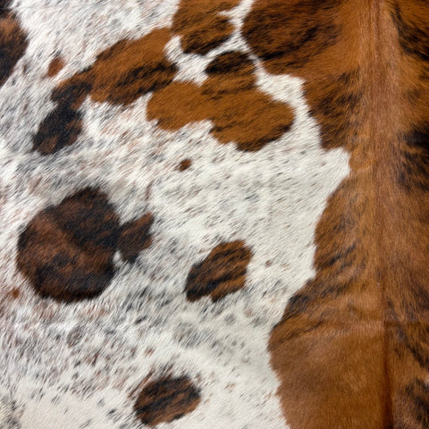 Tricolor Cowhide Rug Size: 7x6.5 feet D-577